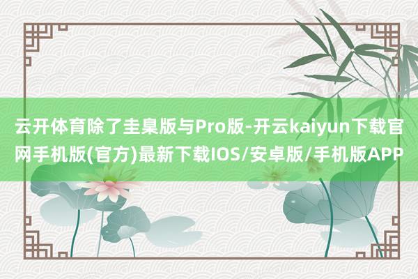 云开体育除了圭臬版与Pro版-开云kaiyun下载官网手机版(官方)最新下载IOS/安卓版/手机版APP