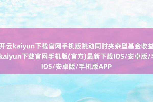 开云kaiyun下载官网手机版跳动同时夹杂型基金收益均值-开云kaiyun下载官网手机版(官方)最新下载IOS/安卓版/手机版APP